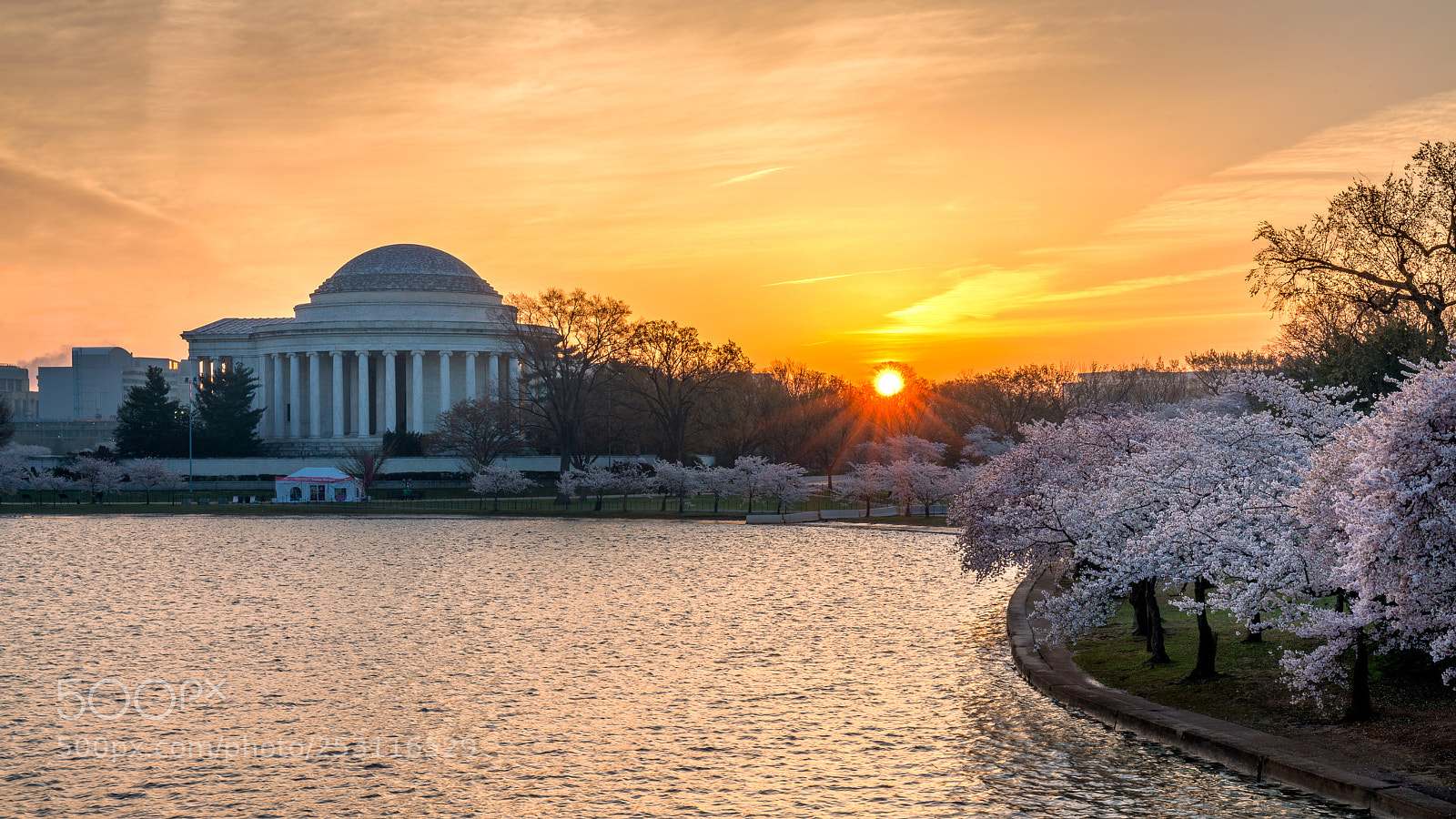 Sony a7R II sample photo. Cherry blossom sunrise photography