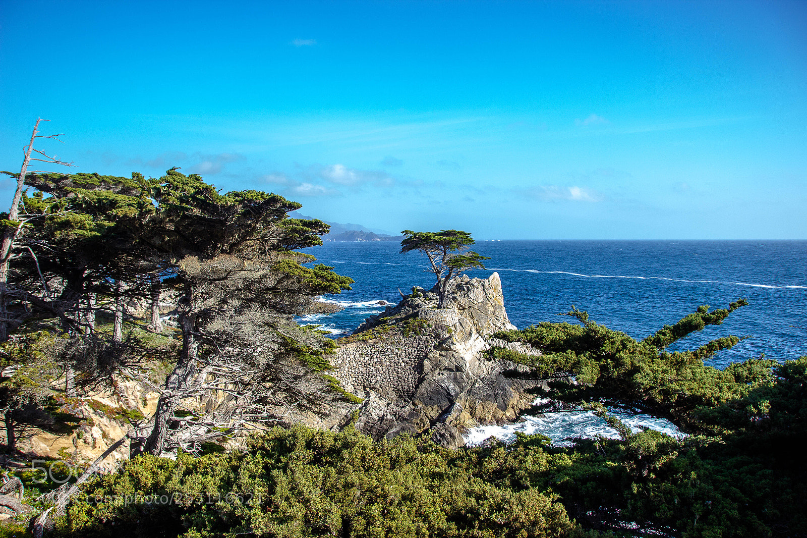 Canon EOS 600D (Rebel EOS T3i / EOS Kiss X5) sample photo. Tree alone photography