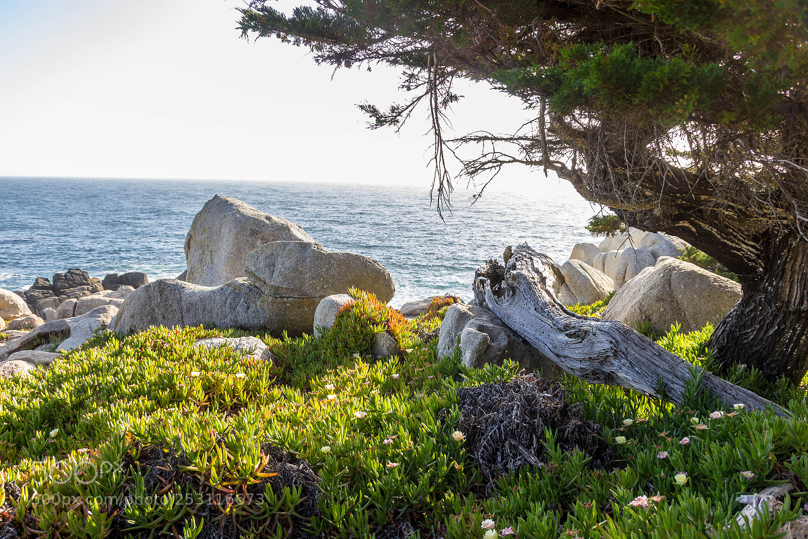 Canon EOS 600D (Rebel EOS T3i / EOS Kiss X5) sample photo. Landscape photography
