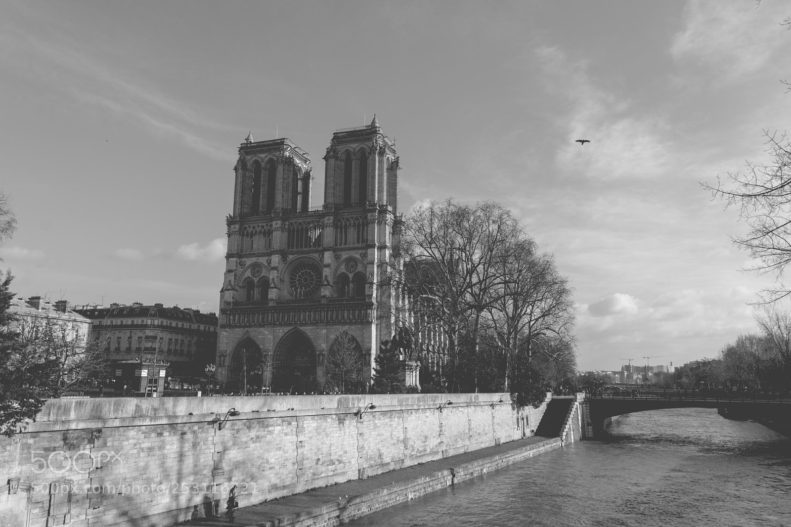 Nikon D3300 sample photo. Side of the river photography
