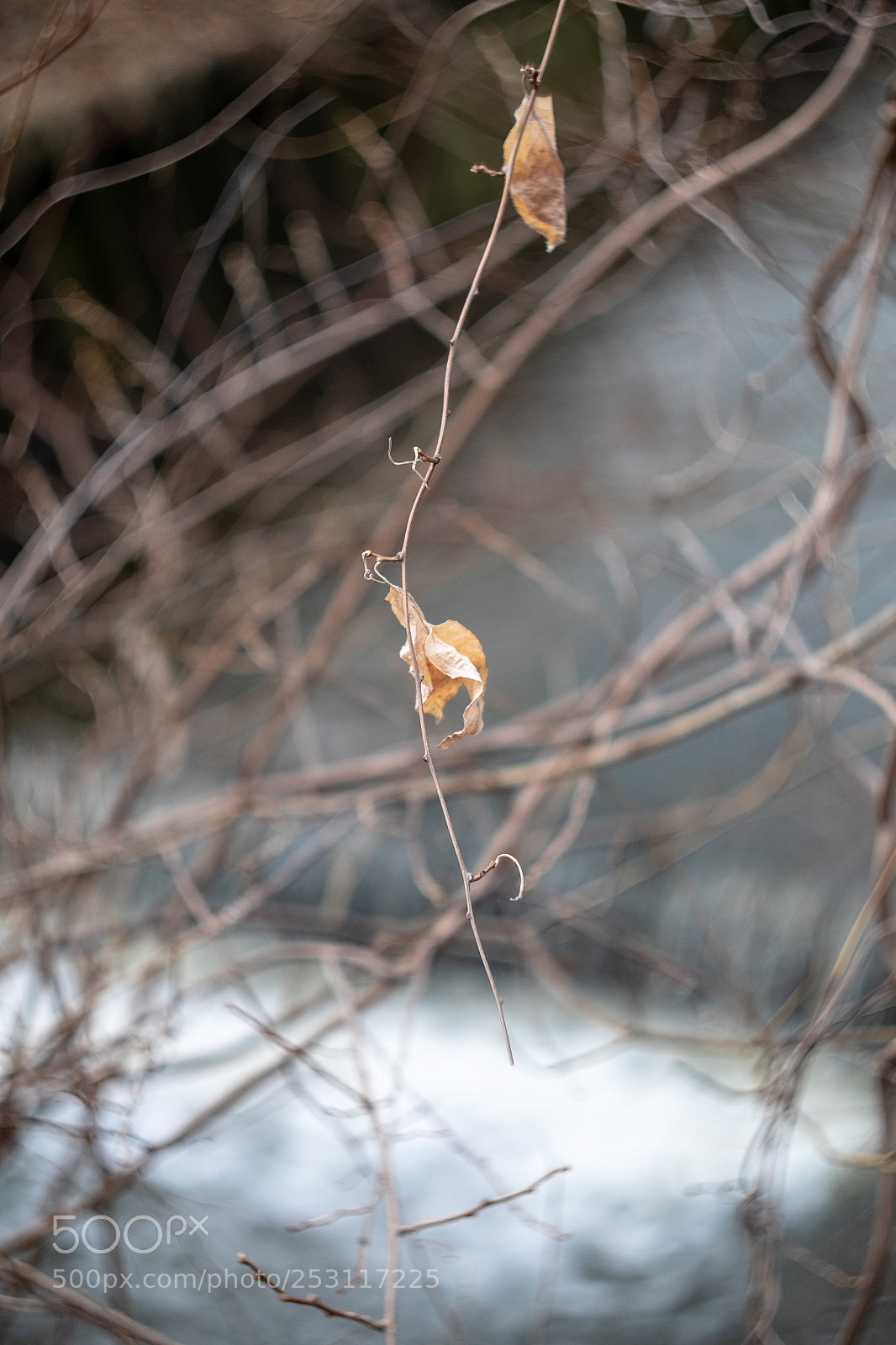 Fujifilm X-T1 sample photo. Next season photography
