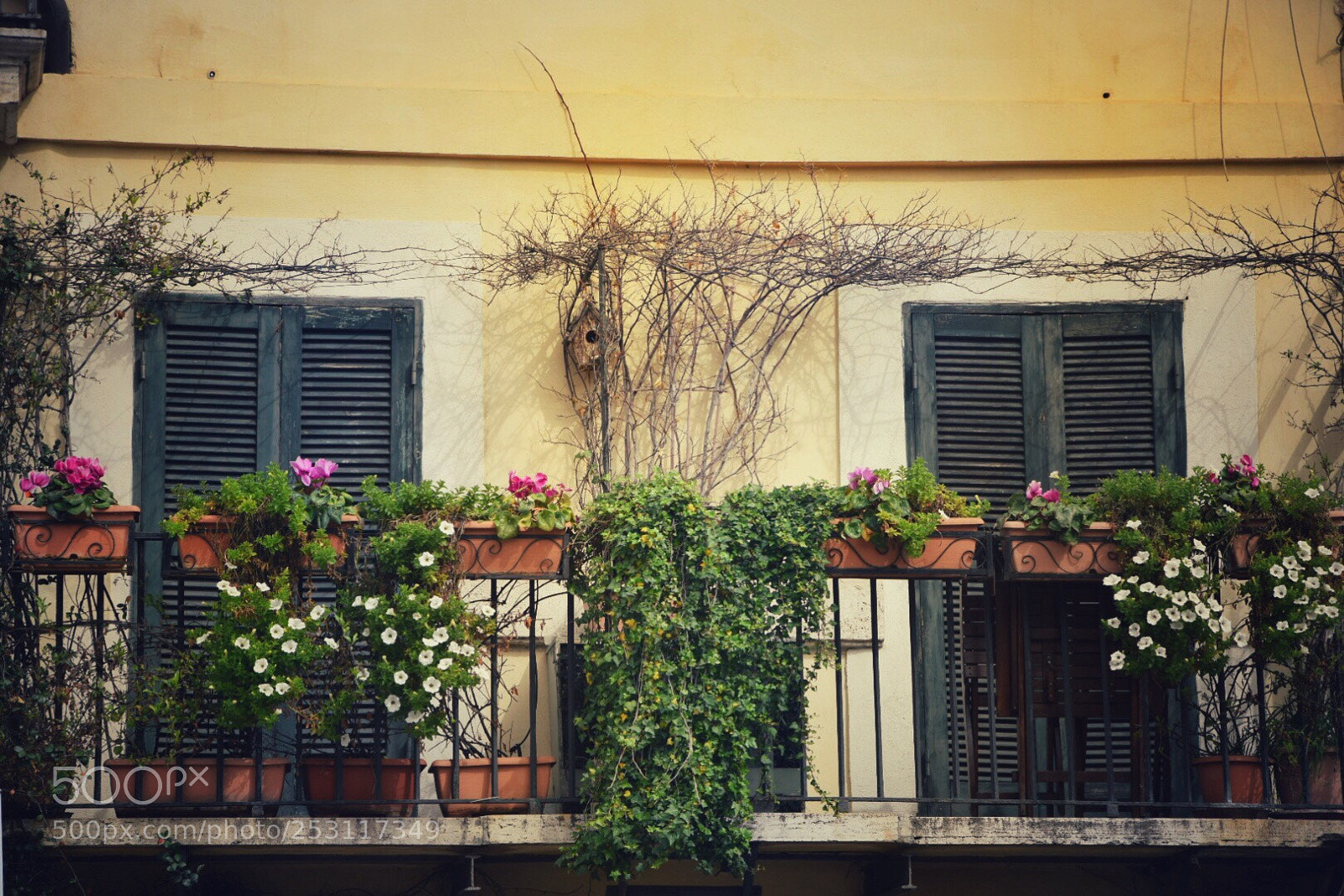 Nikon D5300 sample photo. Untitled photography