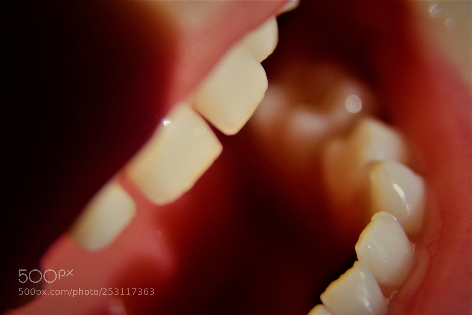 Nikon D5300 sample photo. Open mouth with visible photography