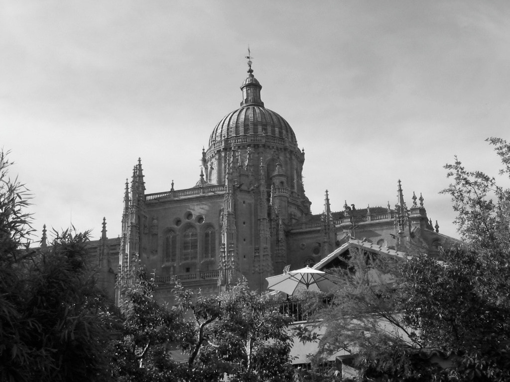 Canon POWERSHOT A60 sample photo. Salamanca cathedral photography