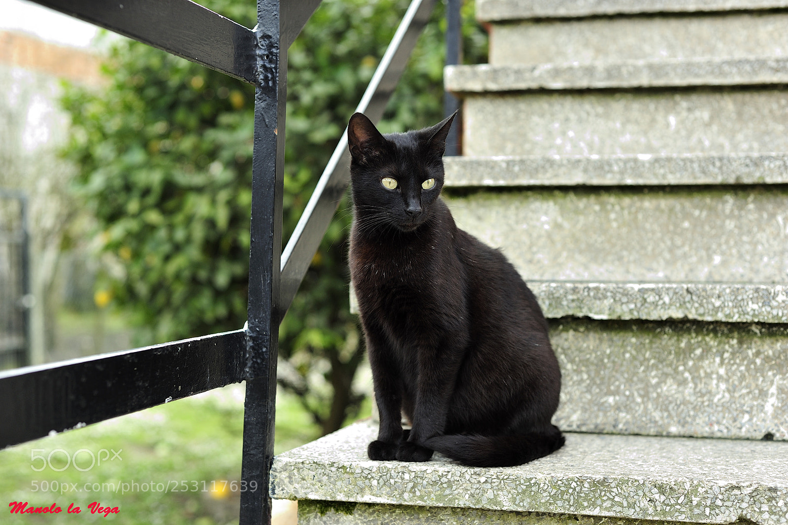 Nikon D700 sample photo. Untitled photography