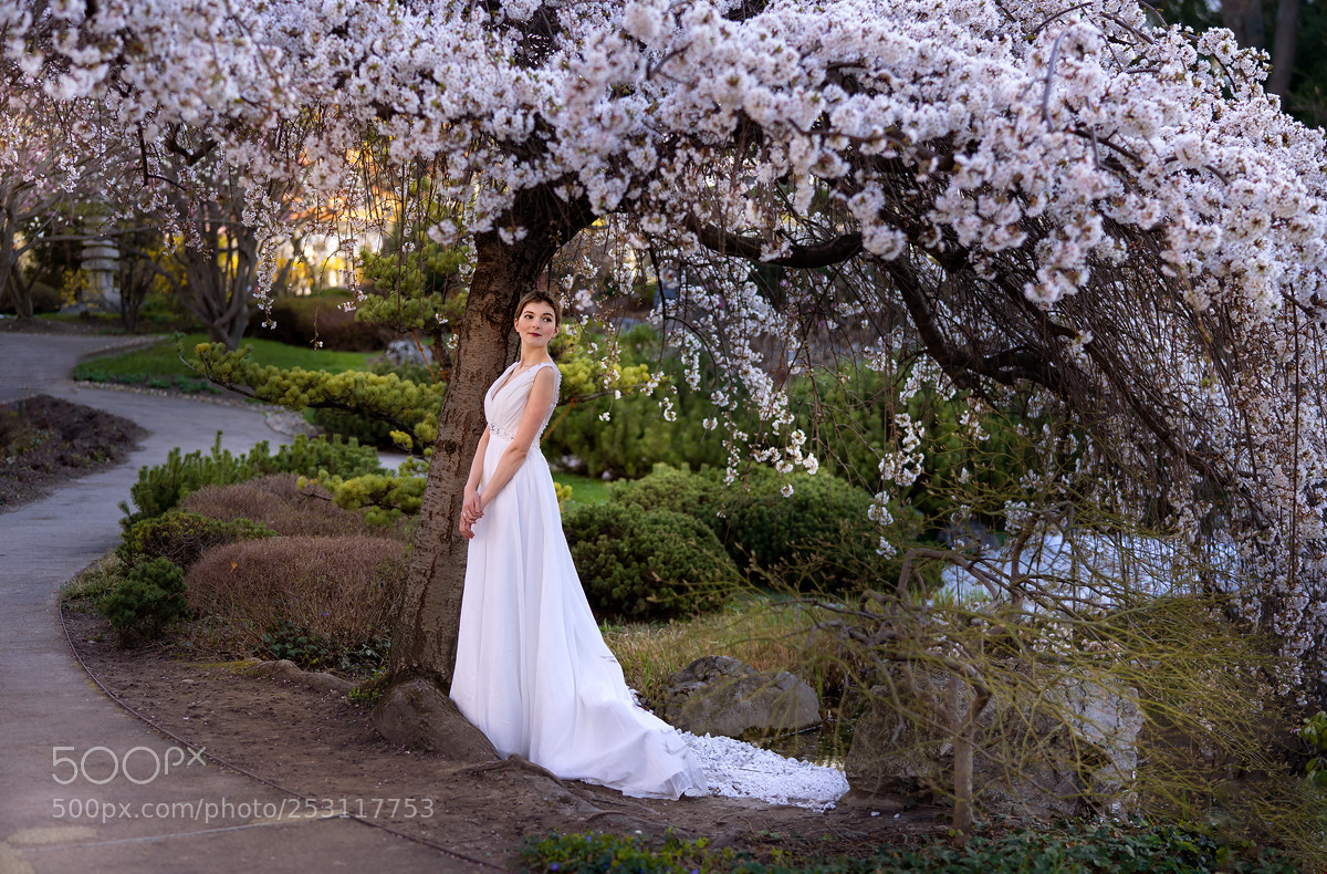 Sony a7 II sample photo. Young woman in wedding photography