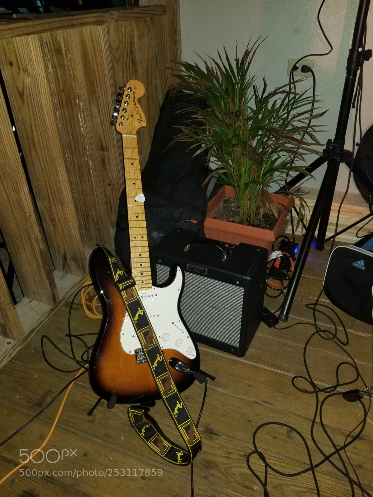 Samsung Galaxy S8 sample photo. Fender photography