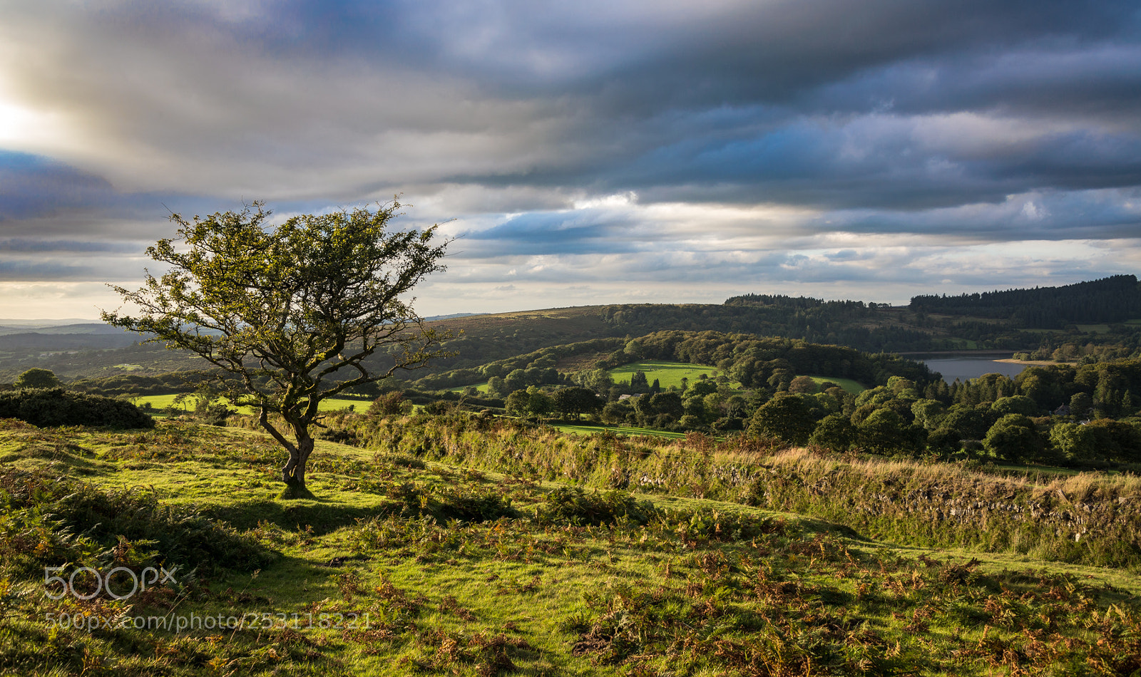 Nikon D610 sample photo. Days end on dartmoor photography