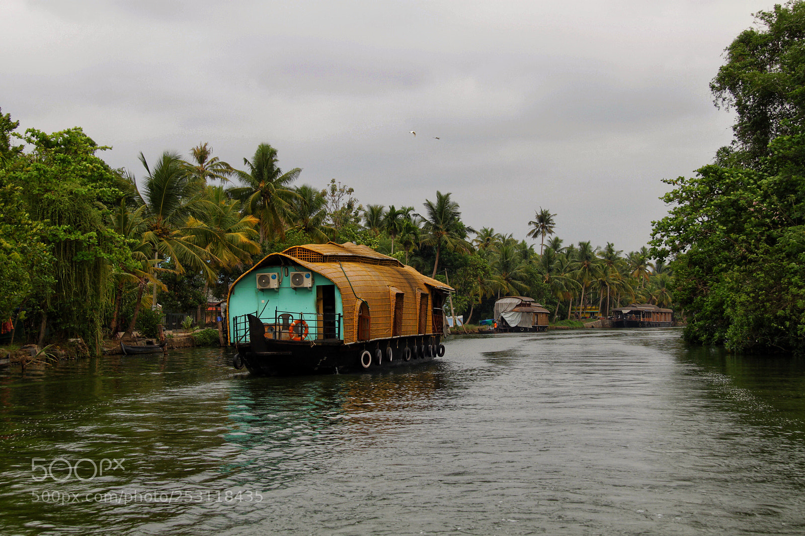 Canon EOS 500D (EOS Rebel T1i / EOS Kiss X3) sample photo. Houseboats through the kerala photography