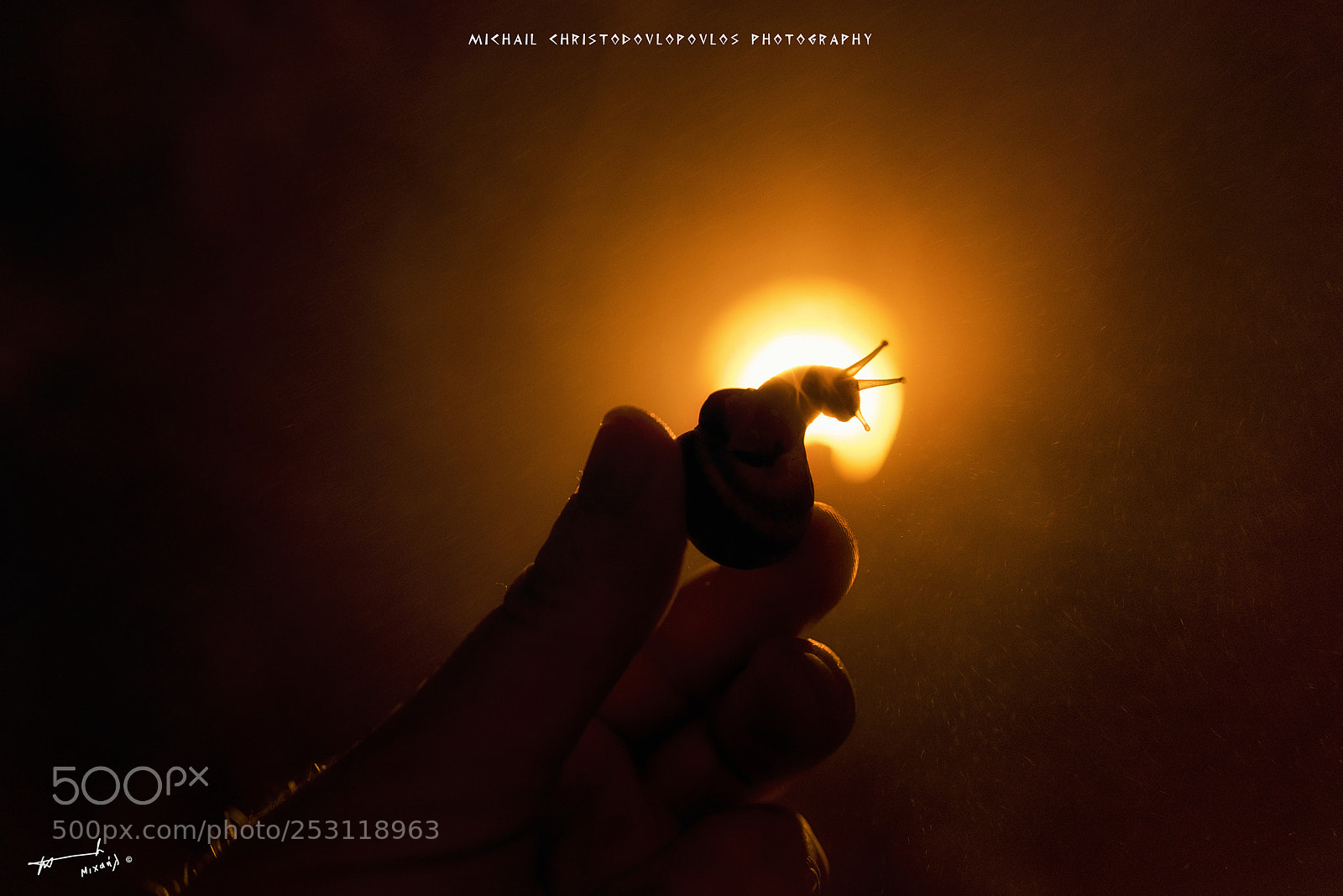 Nikon D810 sample photo. Mist photography
