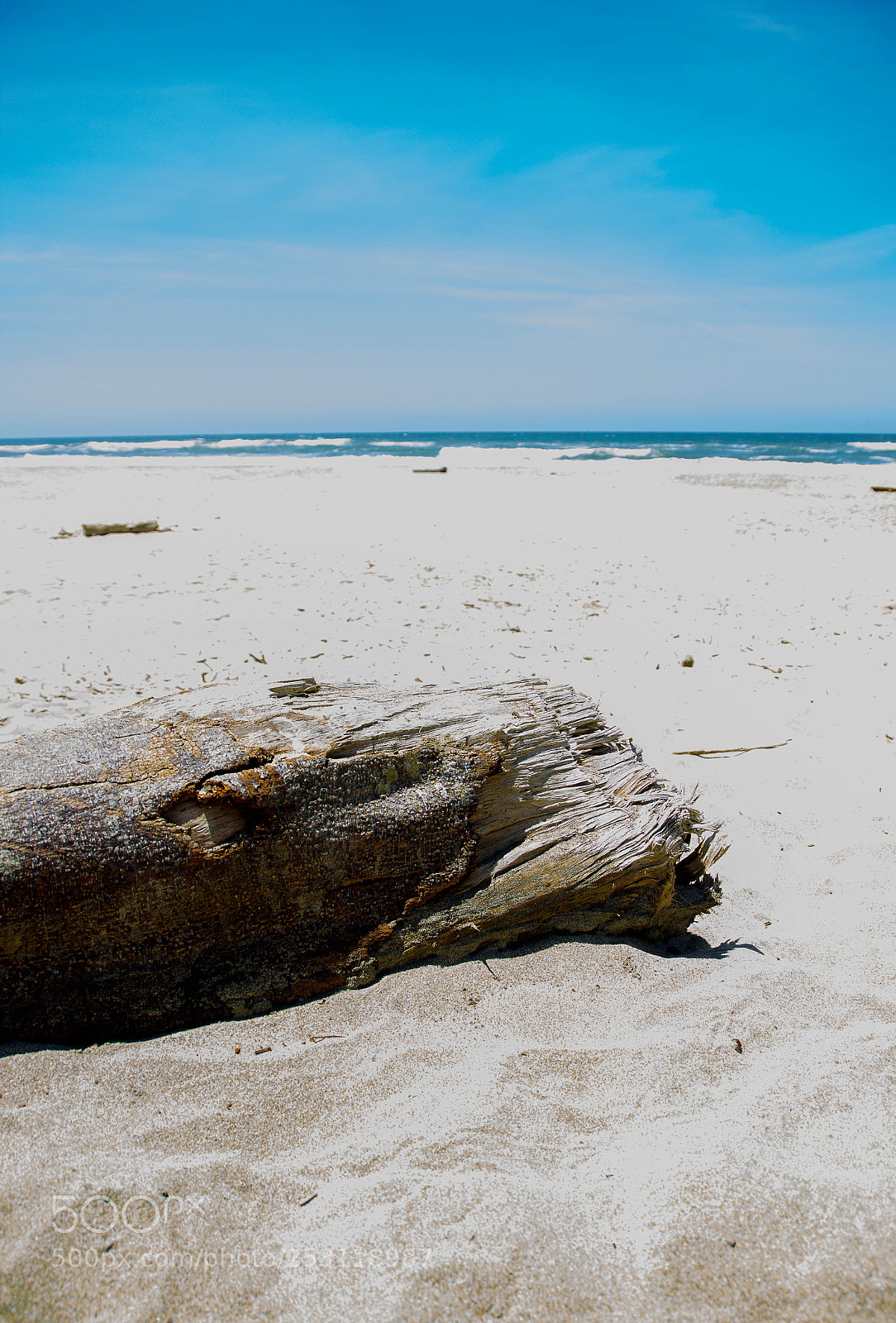 Canon EOS 600D (Rebel EOS T3i / EOS Kiss X5) sample photo. Wood on the beach photography