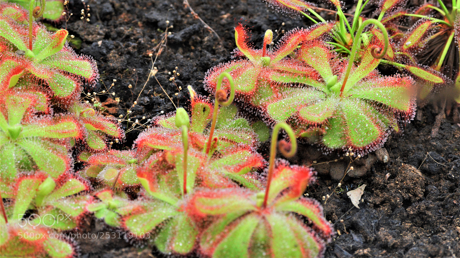 Nikon D3200 sample photo. Untitled photography