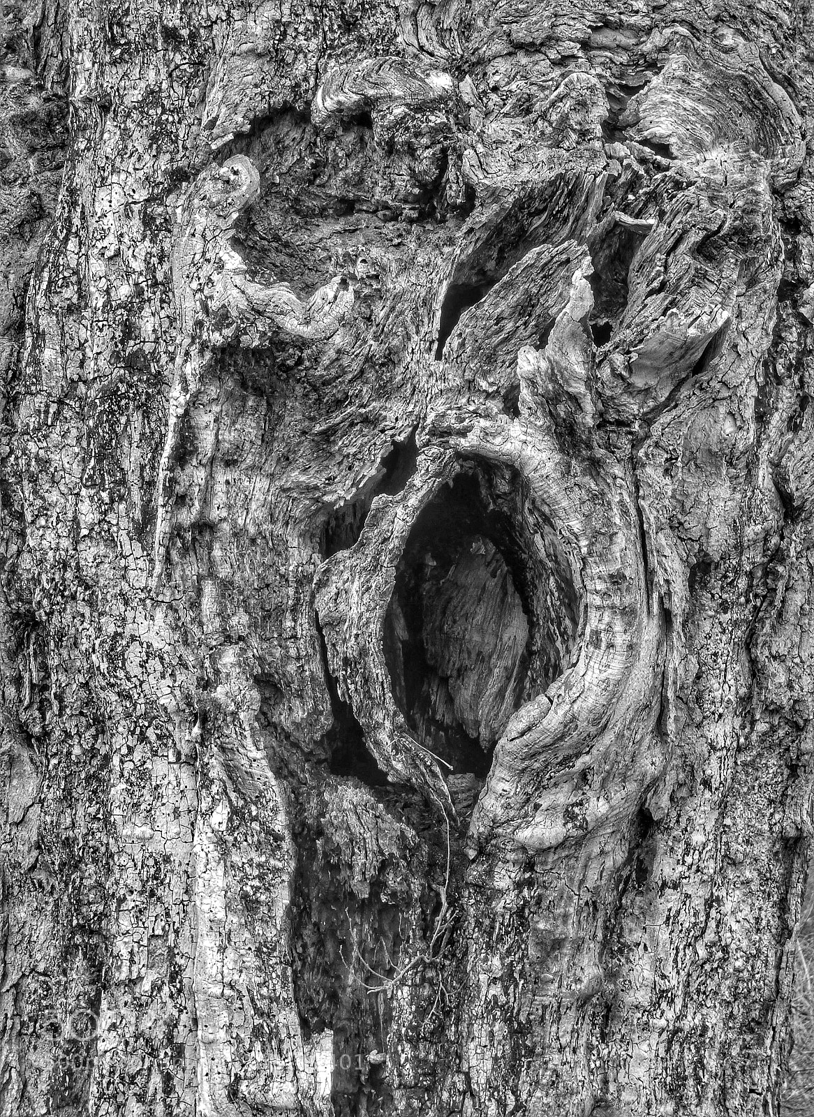 Panasonic Lumix DMC-FZ70 sample photo. Heavily weathered and worn photography