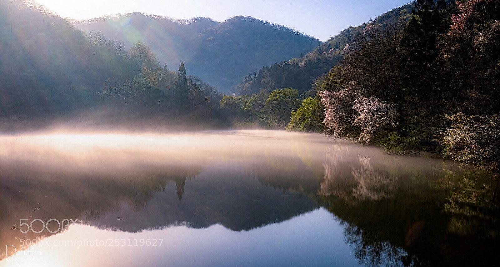 Canon EOS 6D Mark II sample photo. Morning light shower photography