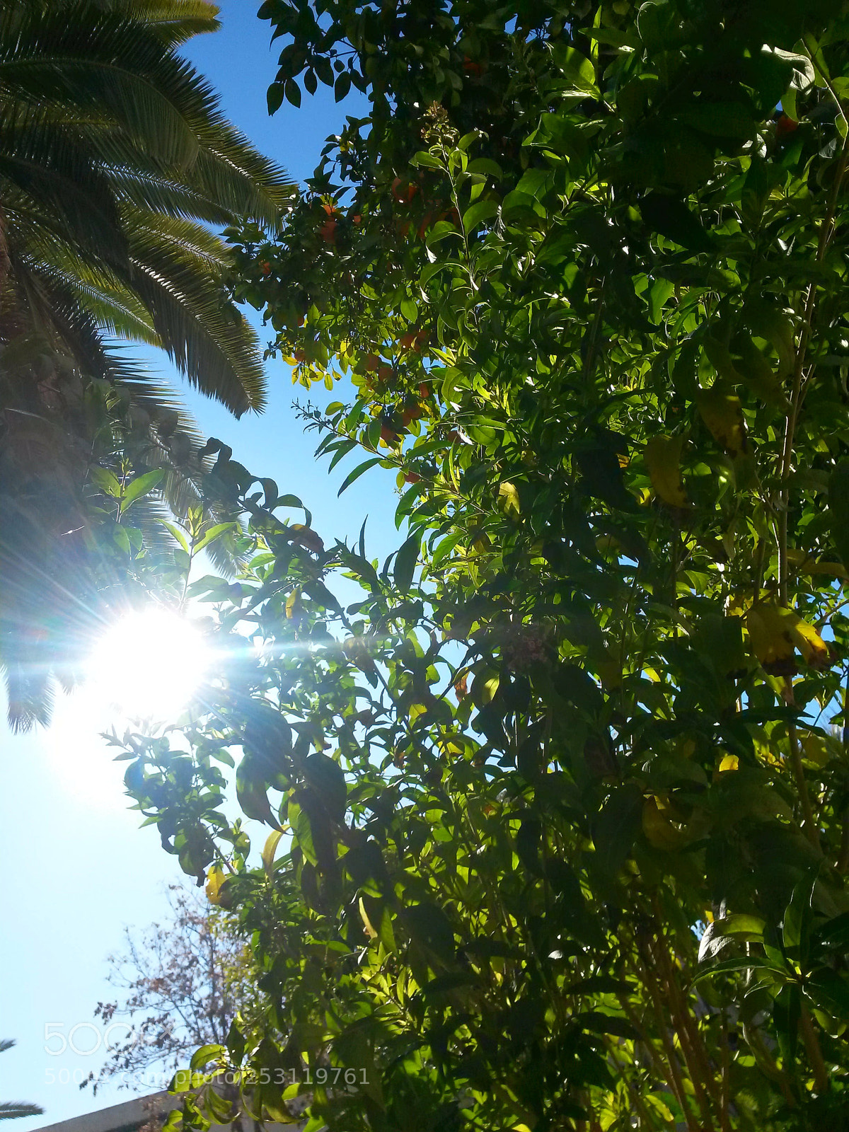 Samsung Galaxy S4 Mini sample photo. Il y a toujours photography