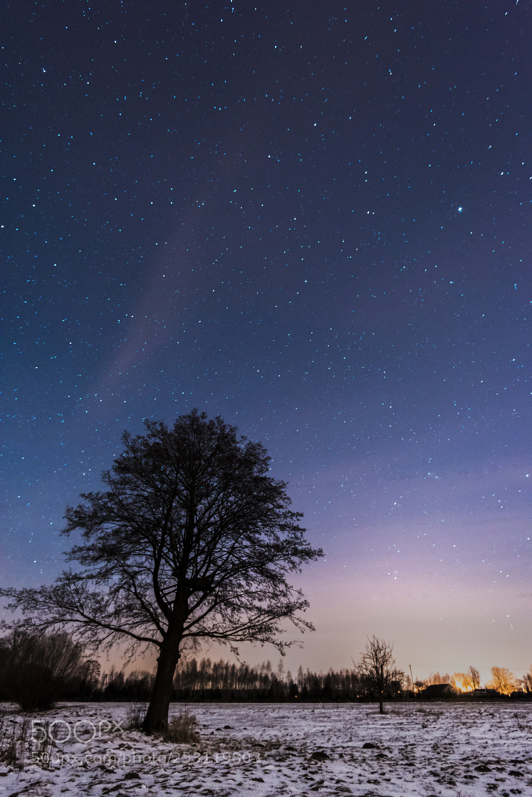 Nikon D810 sample photo. Stars photography
