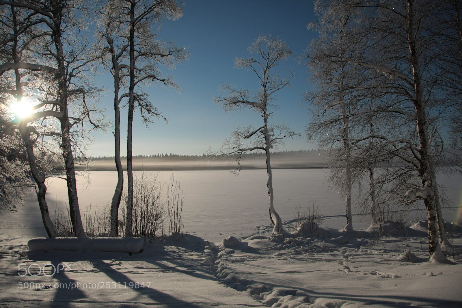 Canon EOS 40D sample photo. Winter photography