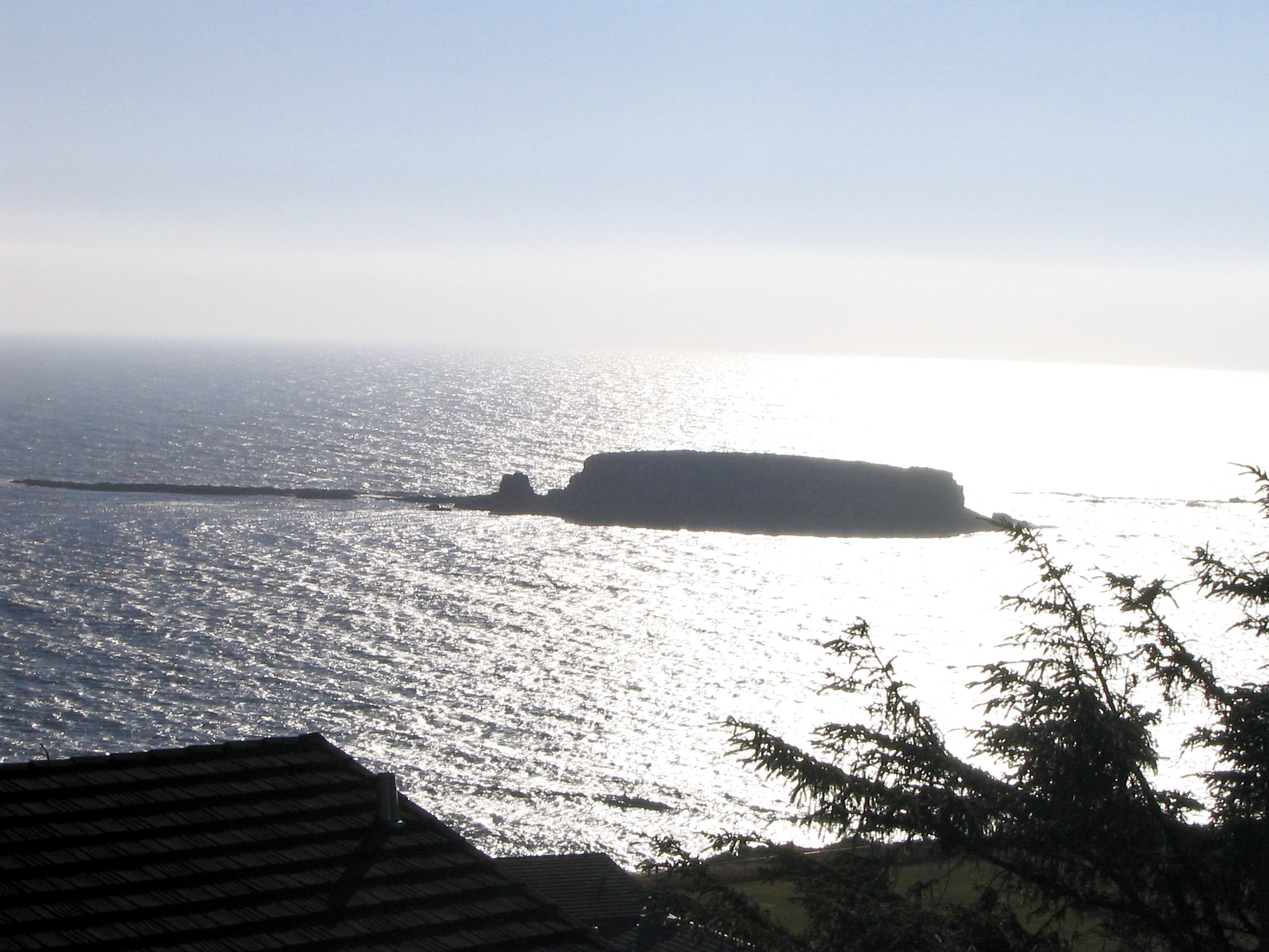 Canon POWERSHOT A70 sample photo. Oregon coast photography