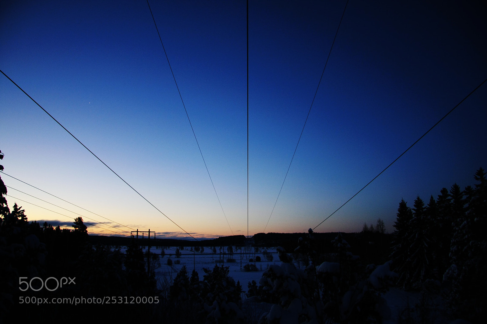 Canon EOS 40D sample photo. Powerlines photography
