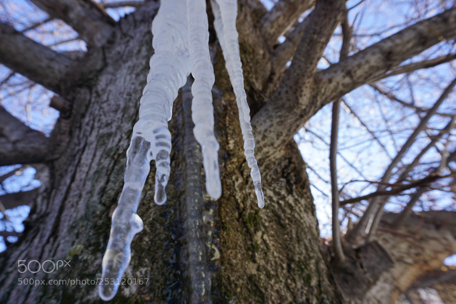 Sony a6000 sample photo. Dsc photography