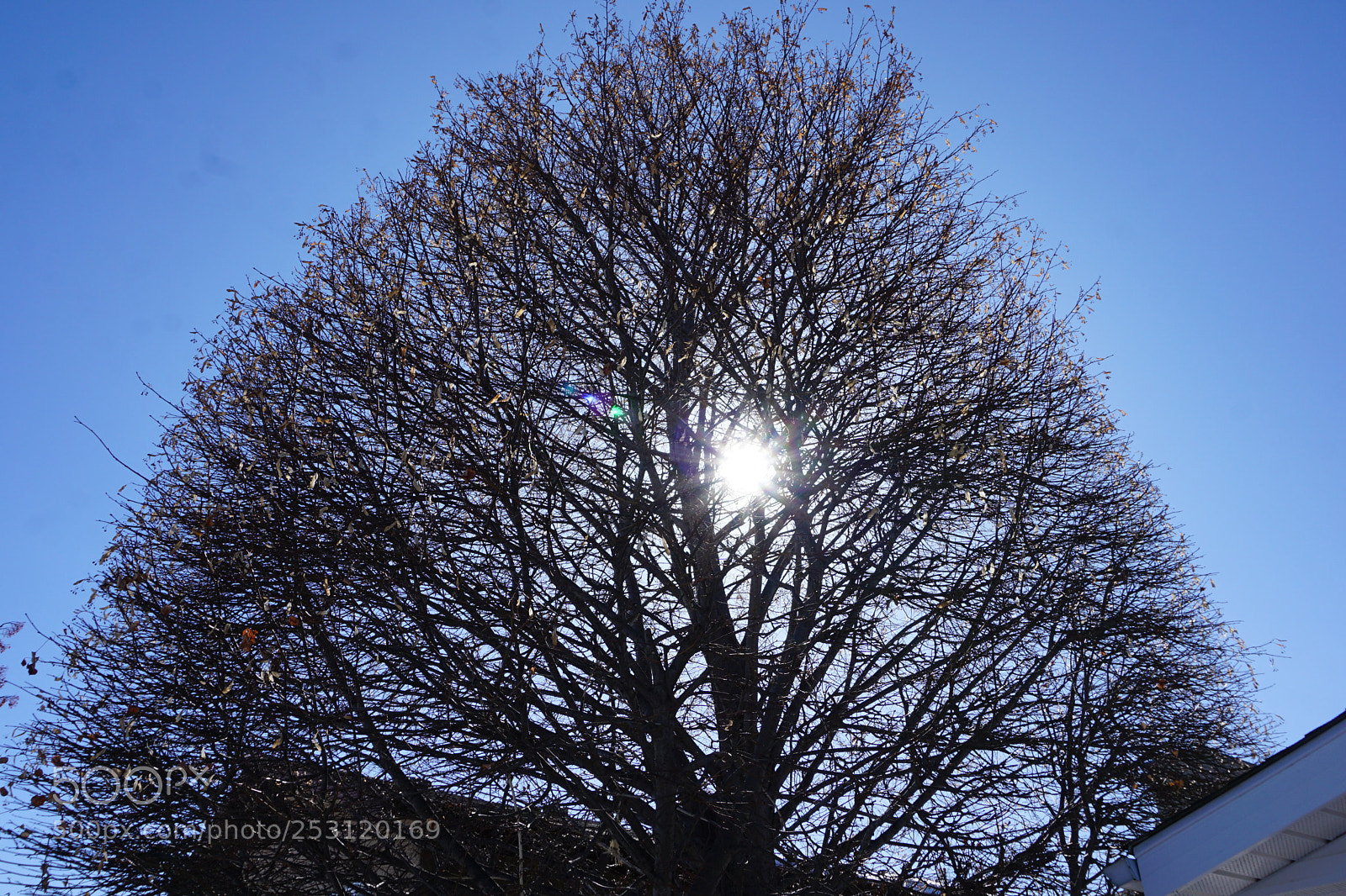 Sony a6000 sample photo. Dsc photography