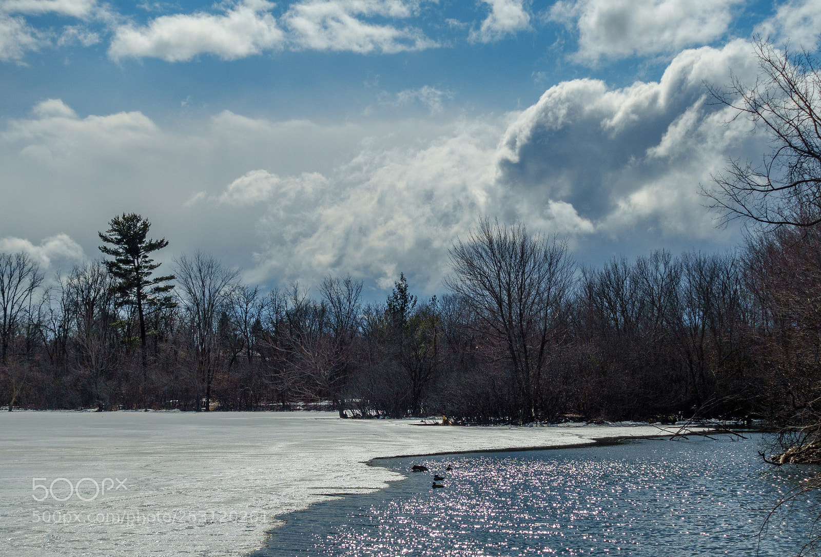 Sony Cyber-shot DSC-RX100 III sample photo. Early spring at mud photography