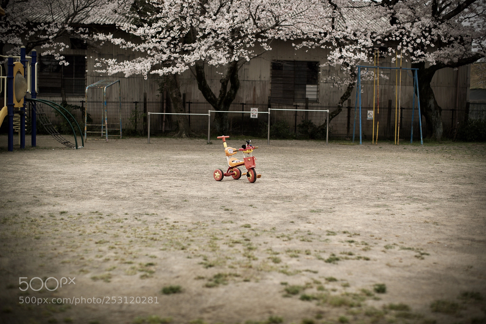Canon EOS-1D X Mark II sample photo. Aei photography