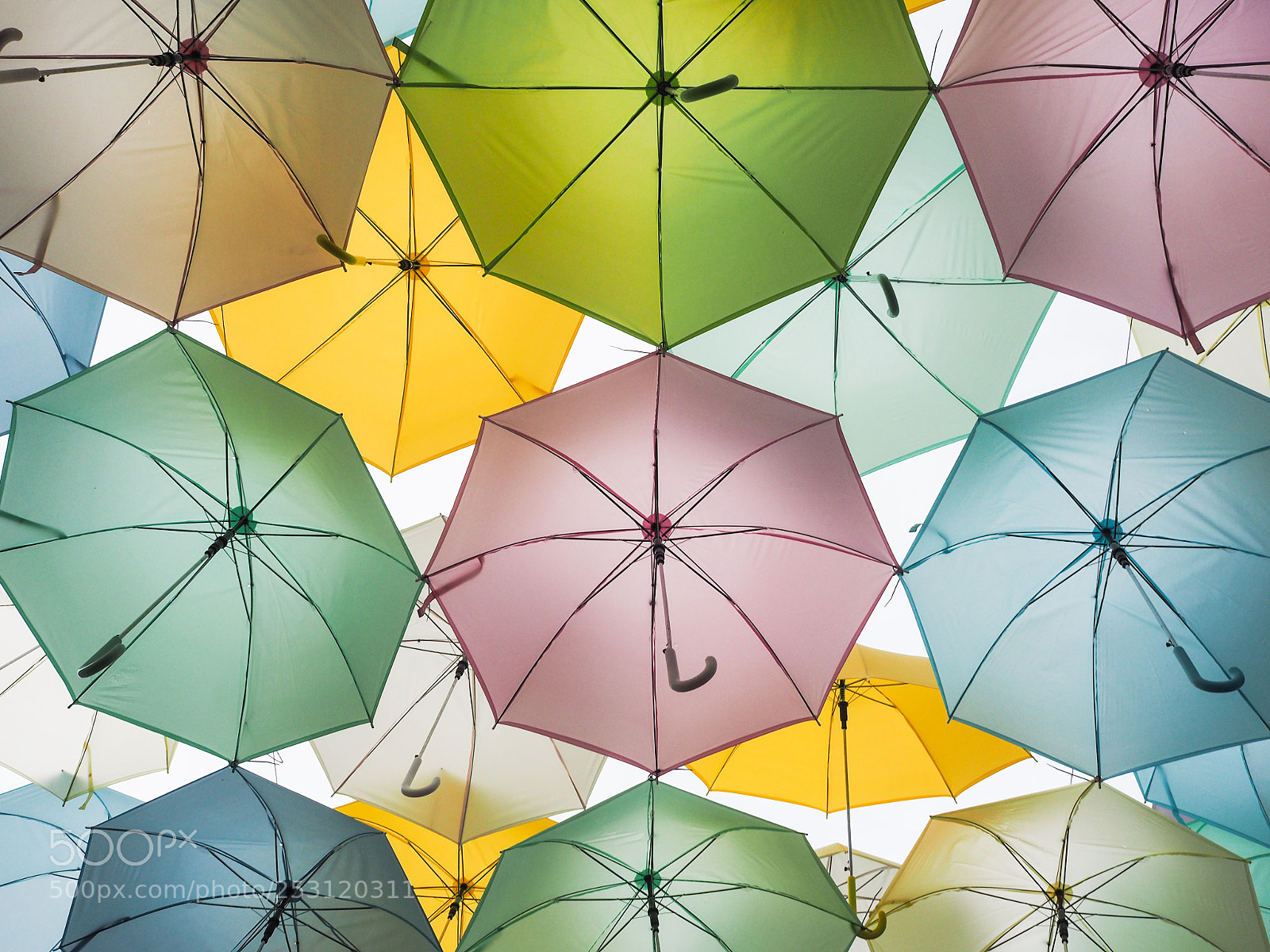 Olympus OM-D E-M5 II sample photo. Colorful umbrella photography