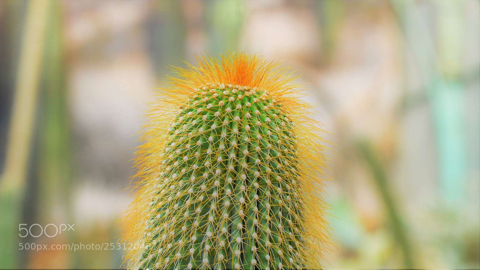 Nikon D3200 sample photo. Untitled photography