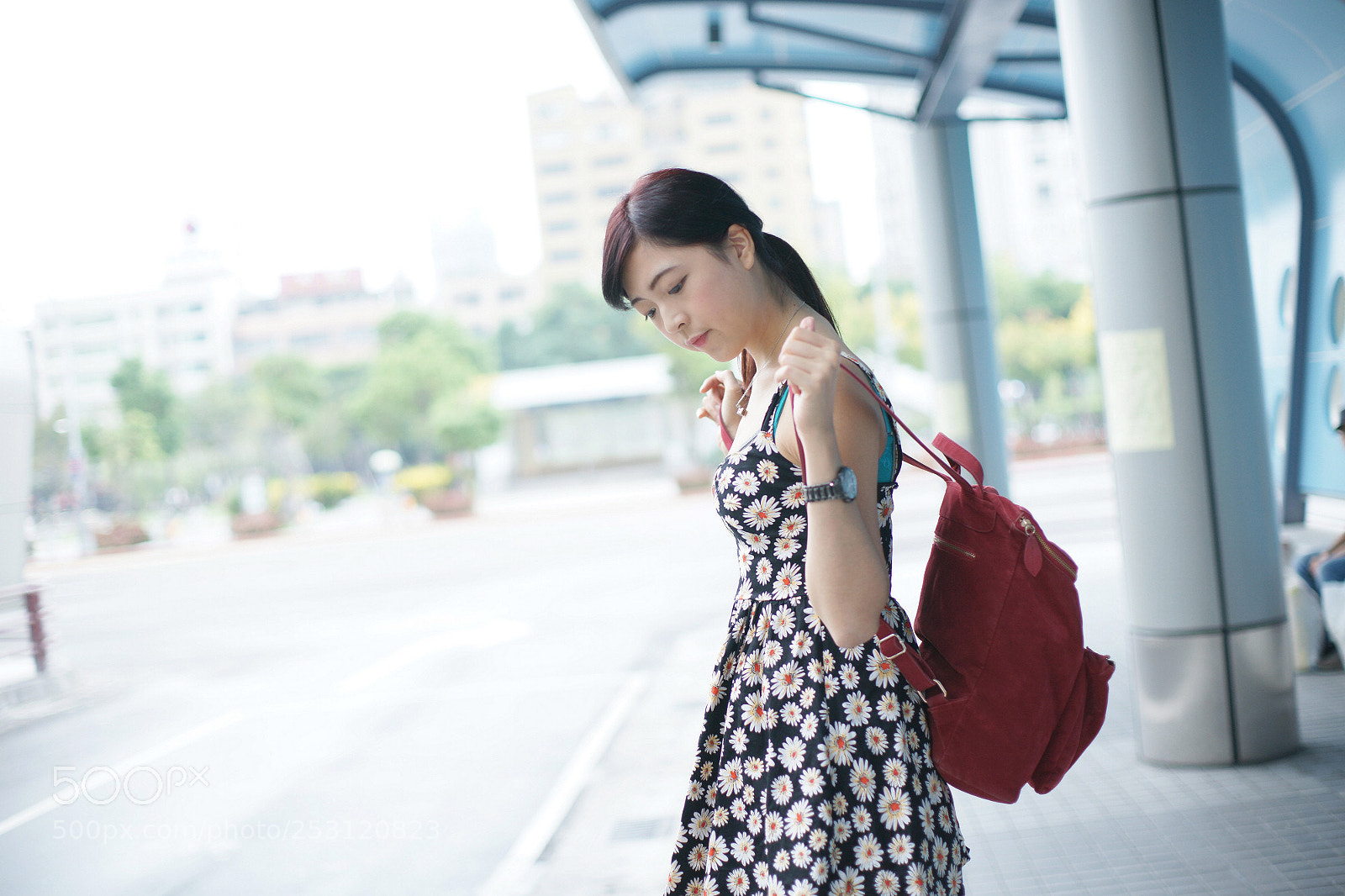 Sony Alpha DSLR-A850 sample photo. Chen photography