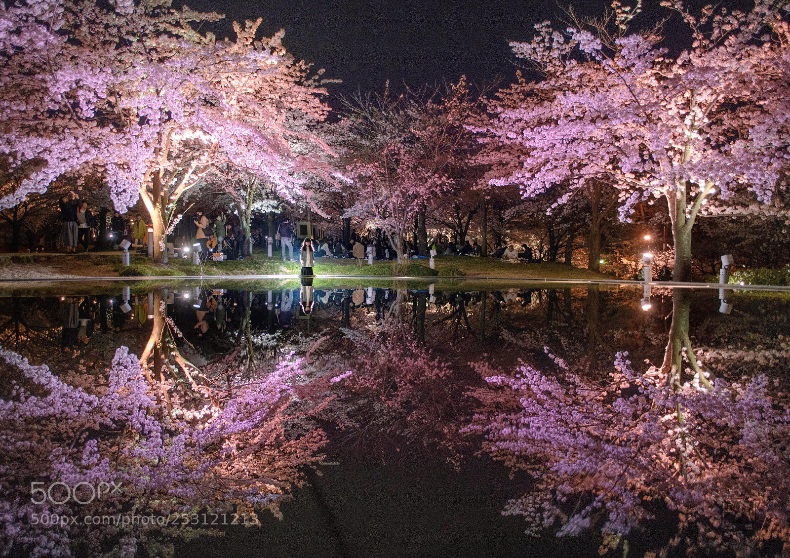Nikon D850 sample photo. Mirror photography