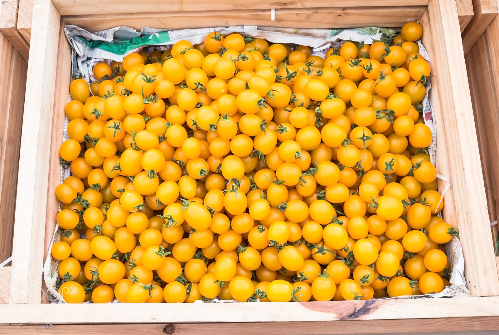 Olympus OM-D E-M5 II sample photo. Yellow tomatoes photography