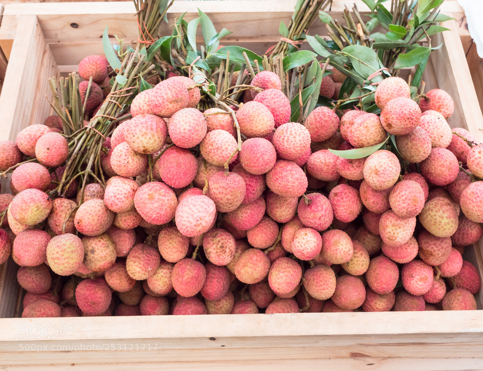 Olympus OM-D E-M5 II sample photo. Ripe lychee in the photography
