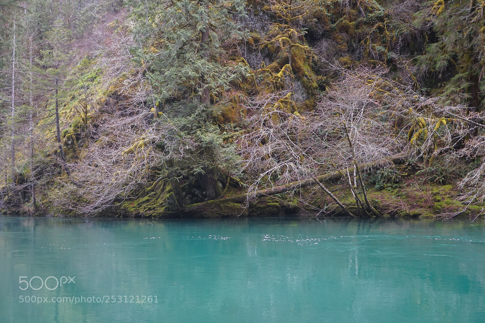 Sony a6300 sample photo. Dsc photography