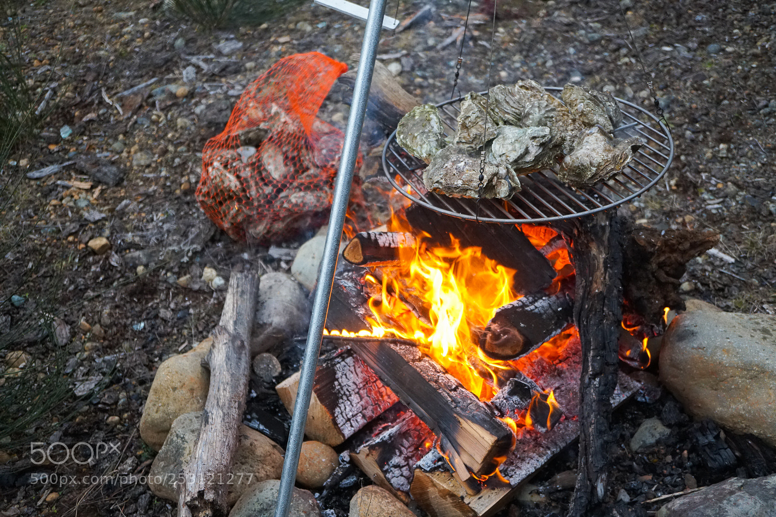 Sony a6300 sample photo. Dsc photography