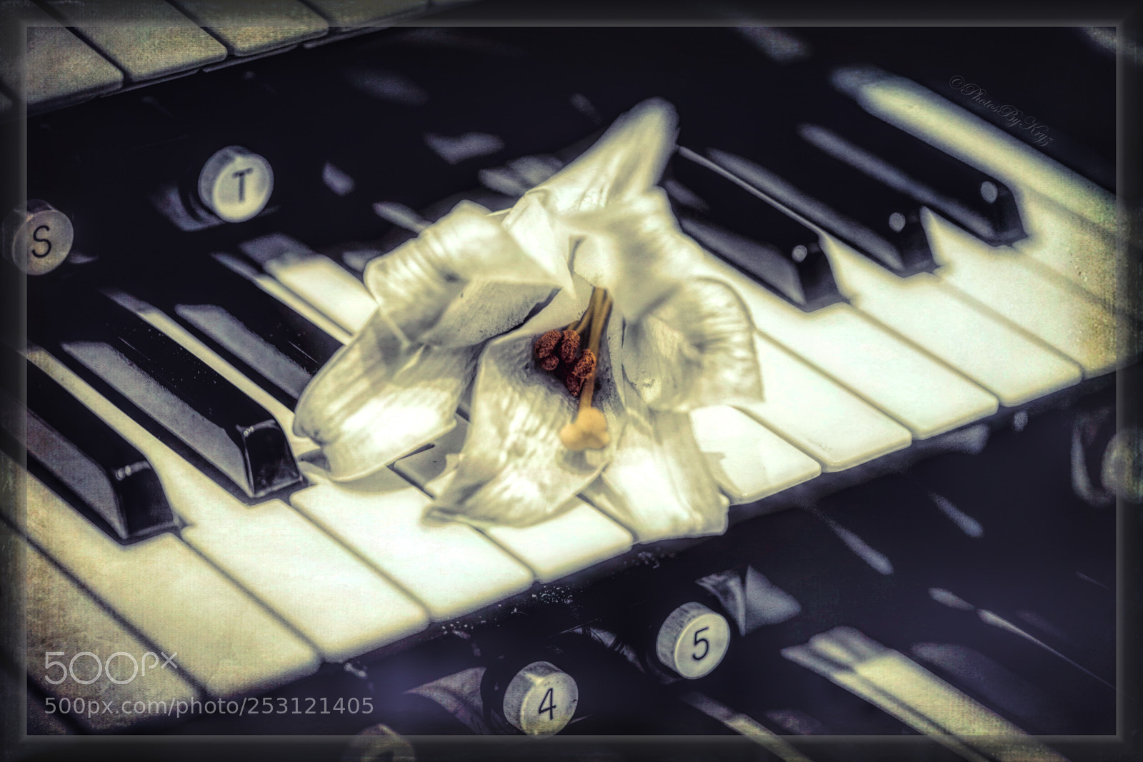 Canon EOS 5DS sample photo. Art lily on piano photography