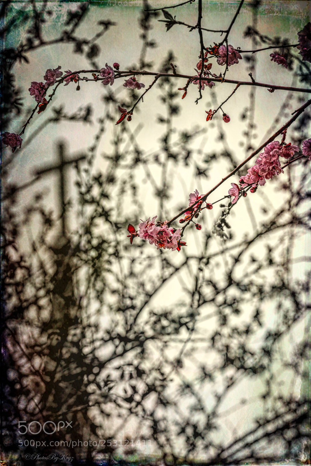 Canon EOS 5DS sample photo. Church in spring photography