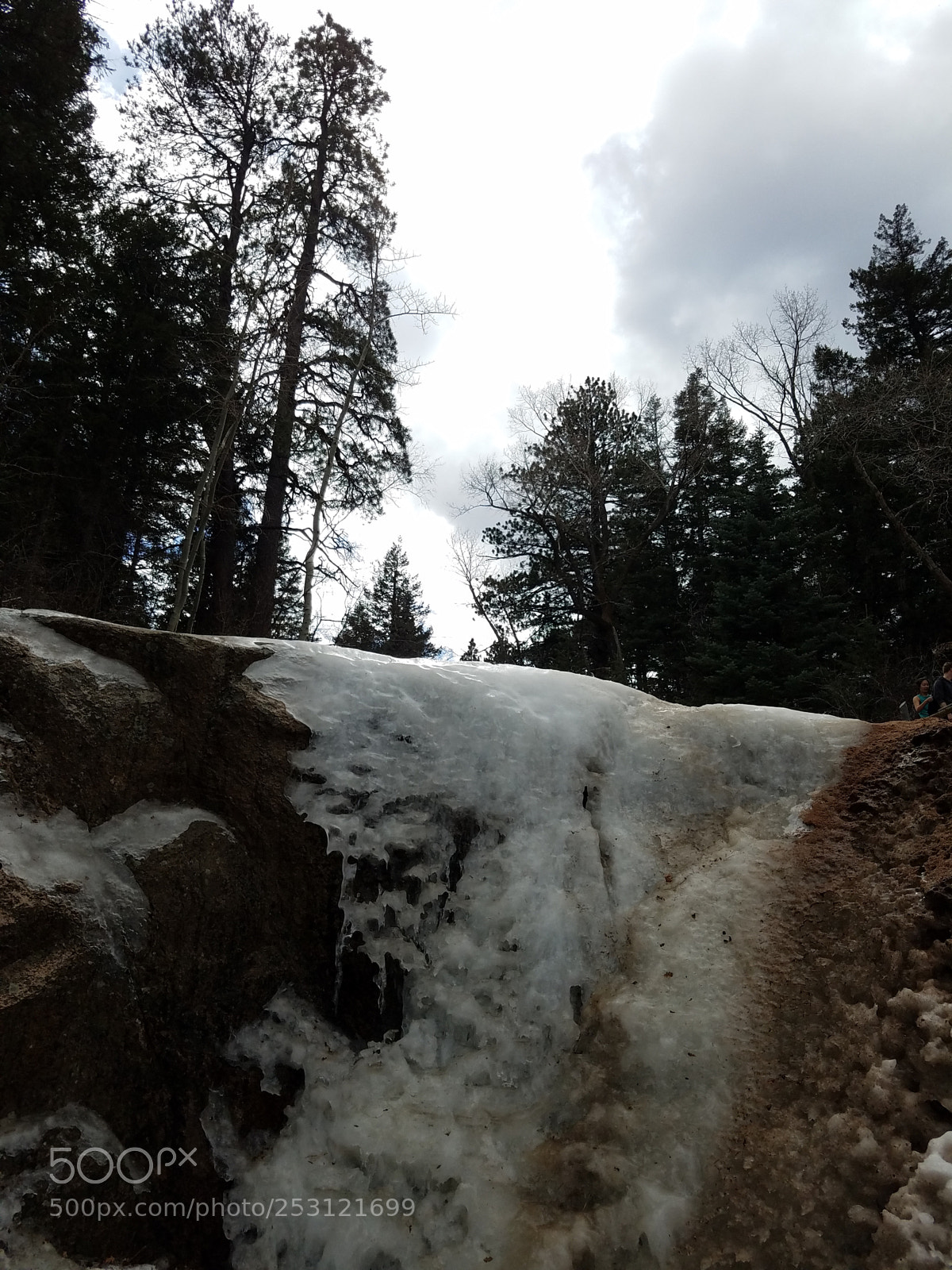Samsung Galaxy S7 sample photo. Snowey forest photography