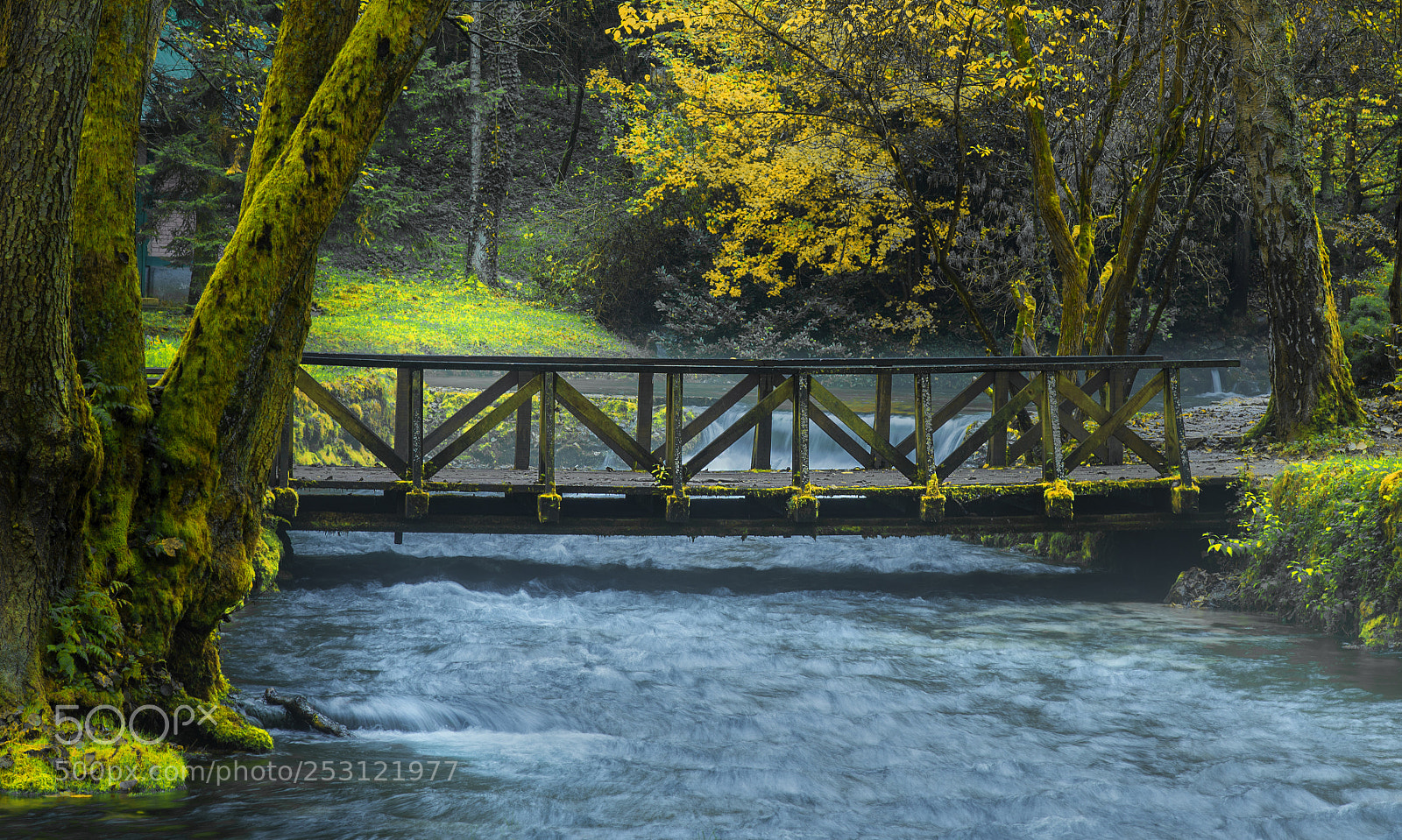 Nikon D610 sample photo. Wooden bridge photography