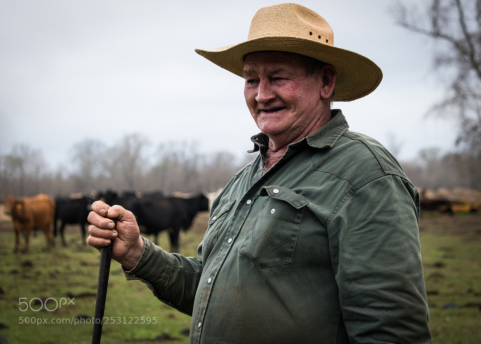 Canon EOS 750D (EOS Rebel T6i / EOS Kiss X8i) sample photo. Rancher photography
