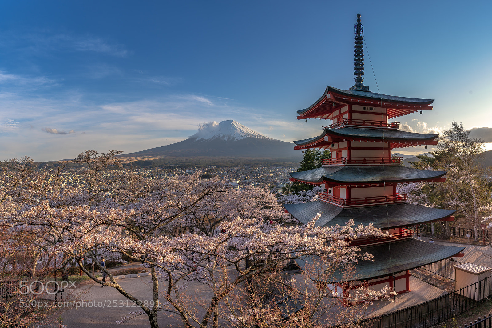 Sony a7 III sample photo. Chuerito blossoms photography