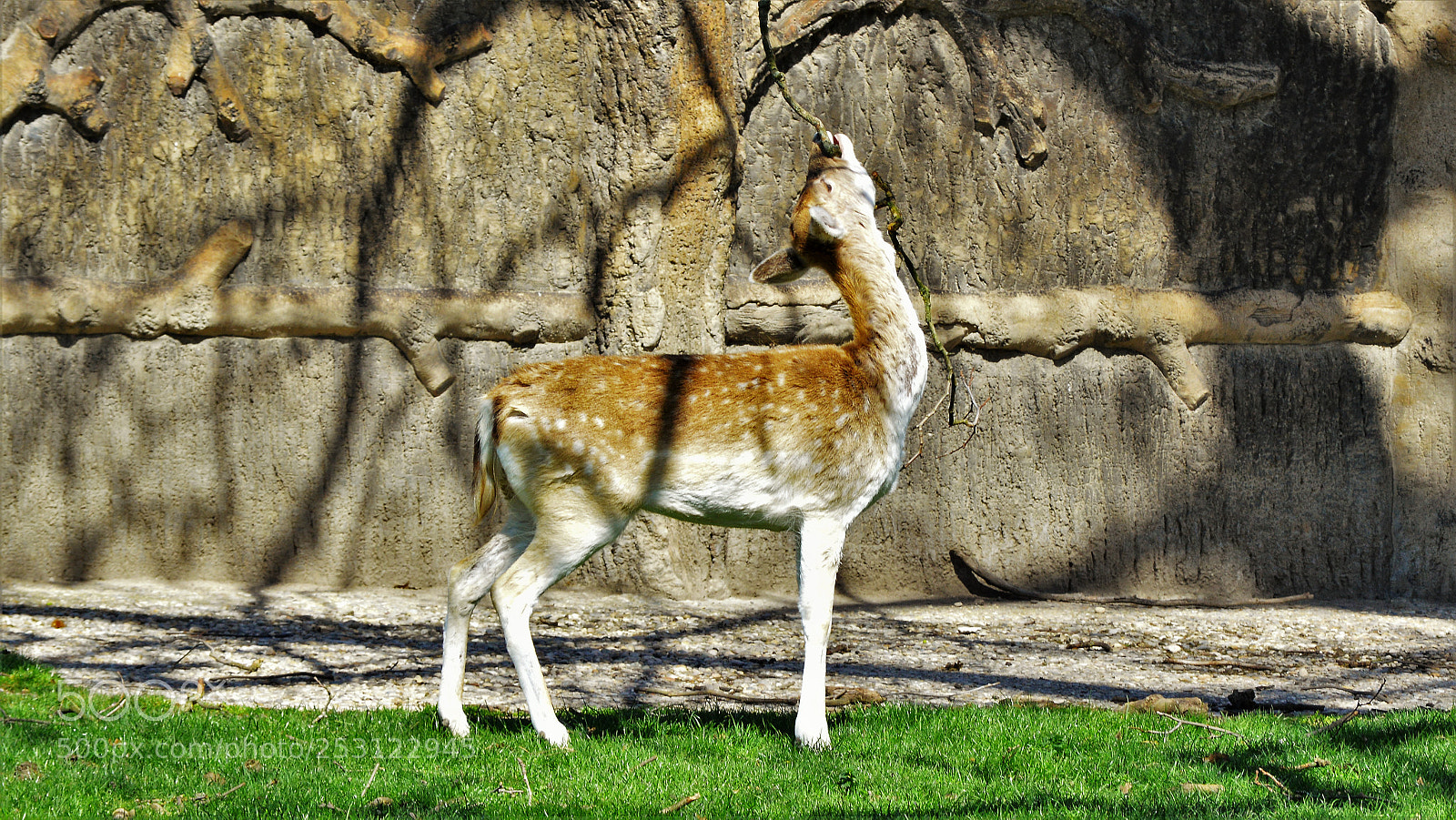 Nikon D3200 sample photo. Untitled photography