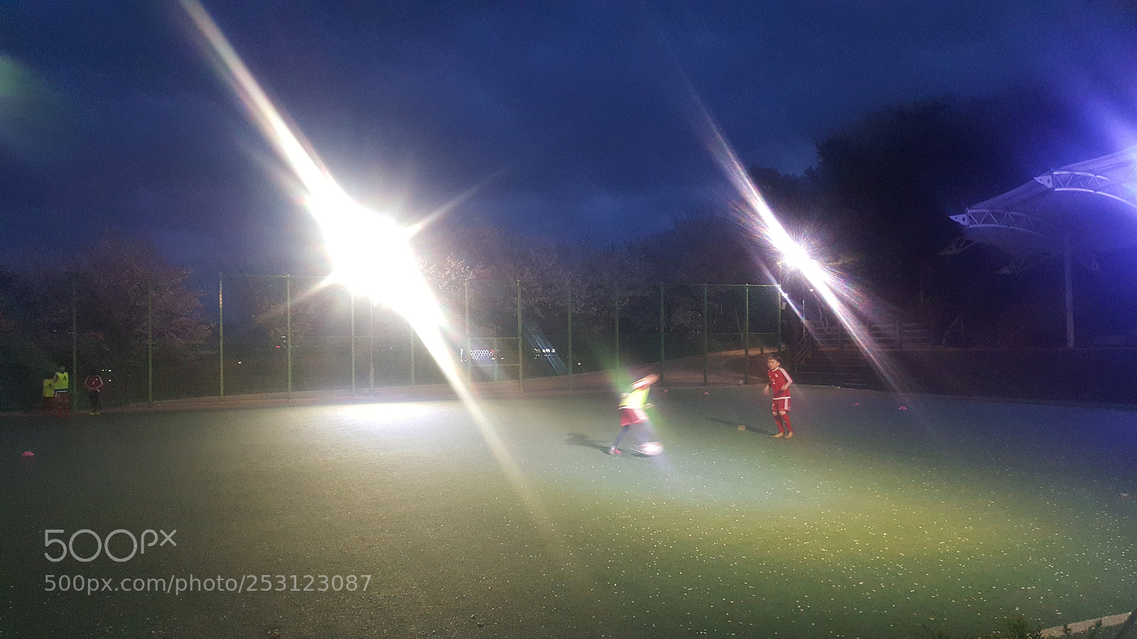 Samsung Galaxy Note5 sample photo. Untitled photography