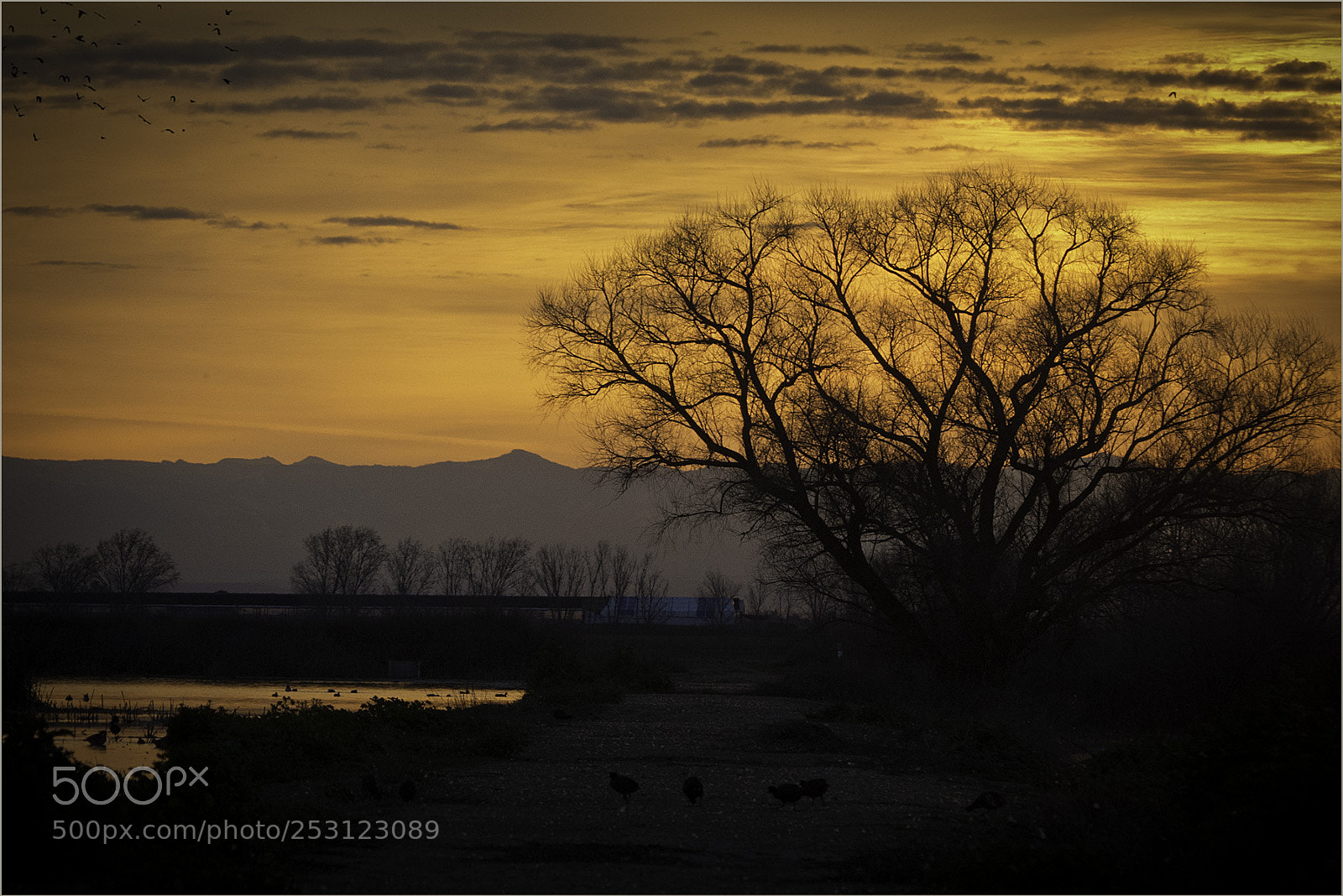 Panasonic Lumix DMC-FZ200 sample photo. Sunset at merced photography