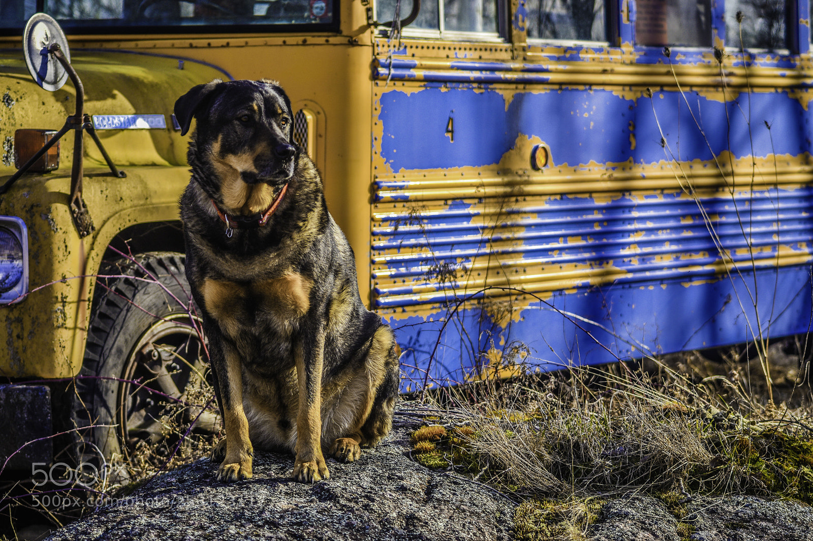 Nikon D5500 sample photo. Rudy photography