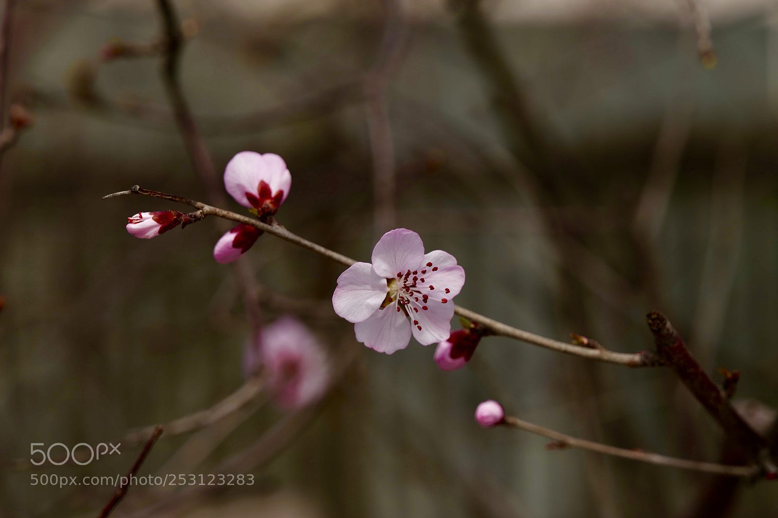 Leica SL (Typ 601) sample photo. Untitled photography