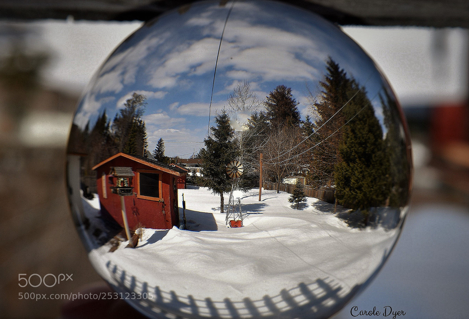 Nikon D5600 sample photo. Still snow on april 10, 2018 photography
