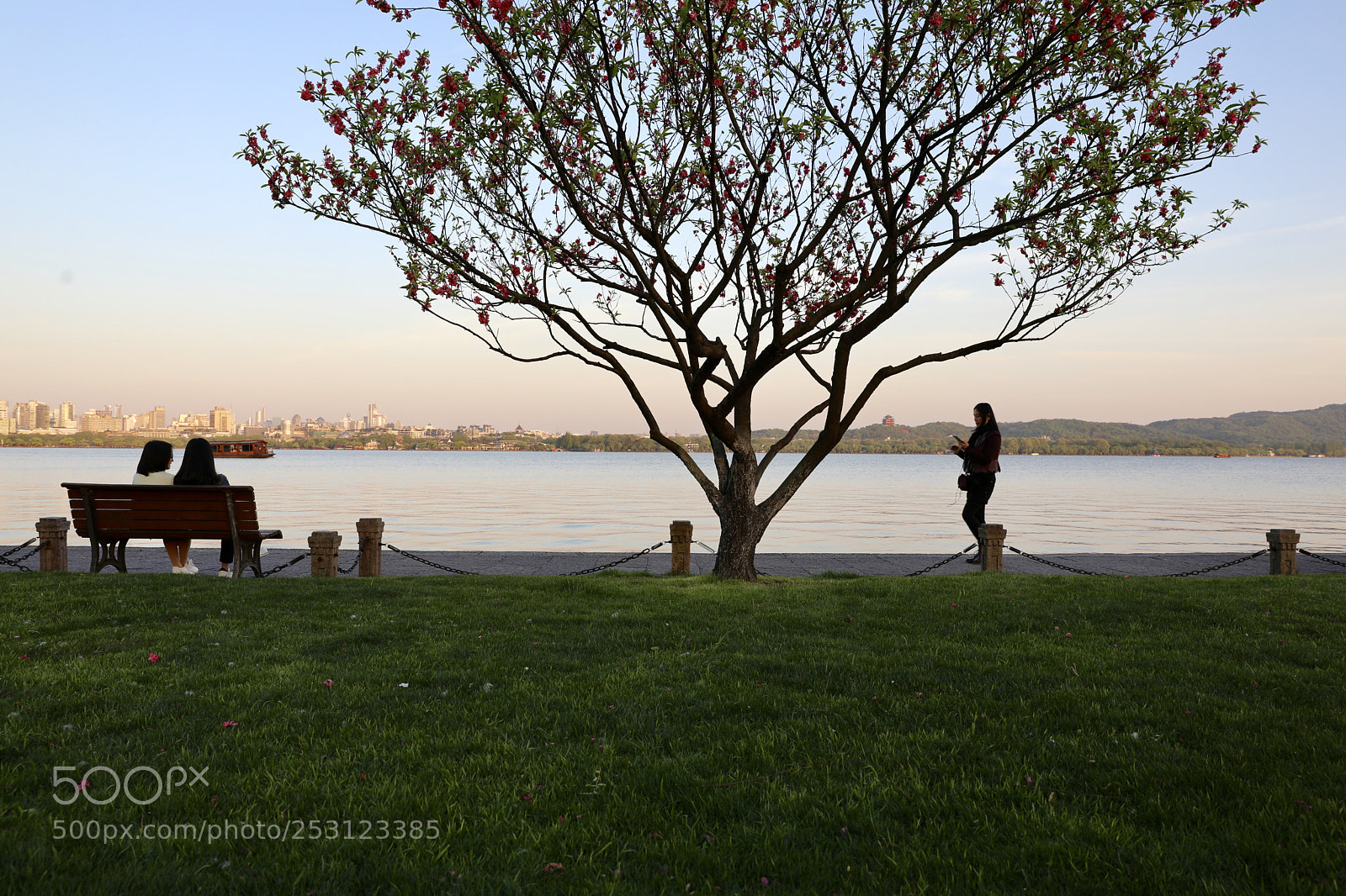 Canon EOS 5D Mark IV sample photo. 西湖白堤上 photography