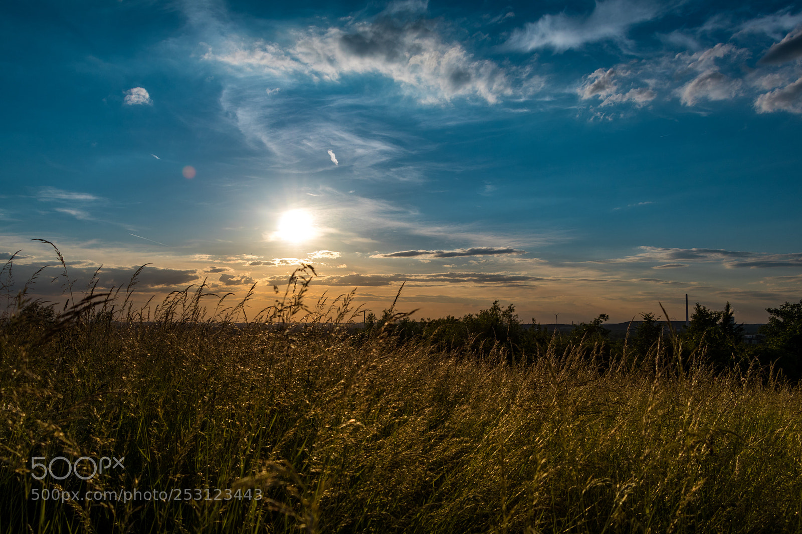 Canon EOS 80D sample photo. Golden hour photography