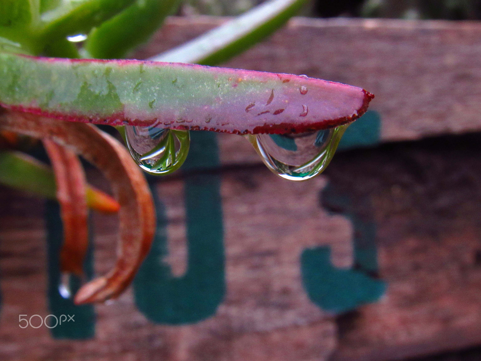 Canon PowerShot SX520 HS sample photo. Goteras photography